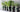 Beginner’s Guide to  Indoor Herb Garden Essentials