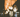 Dimly lit space illuminated by a row of hanging incandescent lights