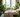 How LED Lights Help Plants Grow