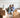 New Homeowner Beginners Guide