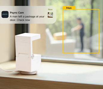 A small, white indoor camera device sits on a light wood shelf next to a small potted succulent plant