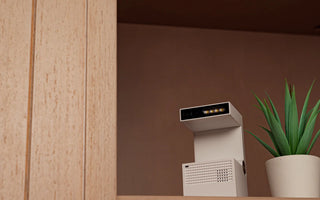 Motion-detecting camera placed on a shelf, blending discreetly with home decor