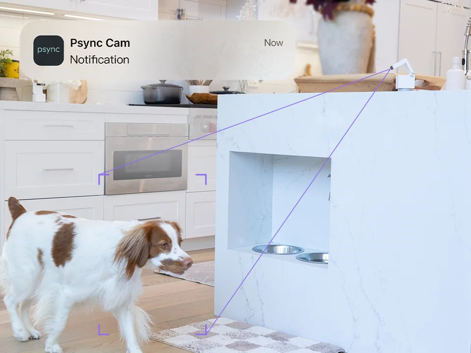 indoor camera